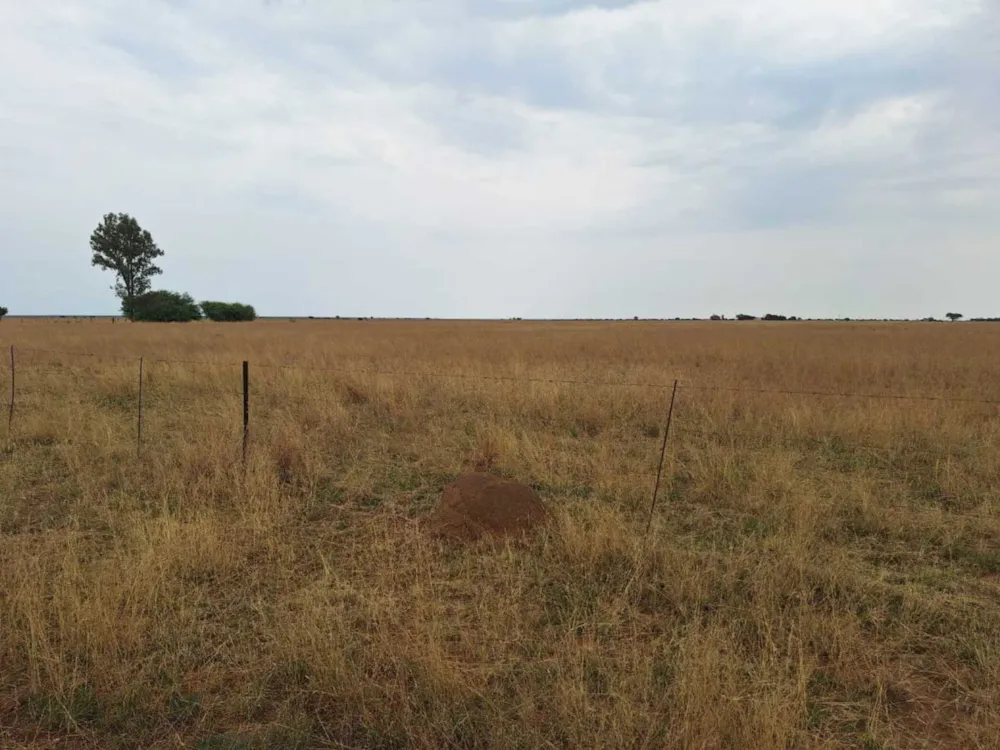 Aquaculture farm sold in Bloemhof, North West Province - 1KJ1715996