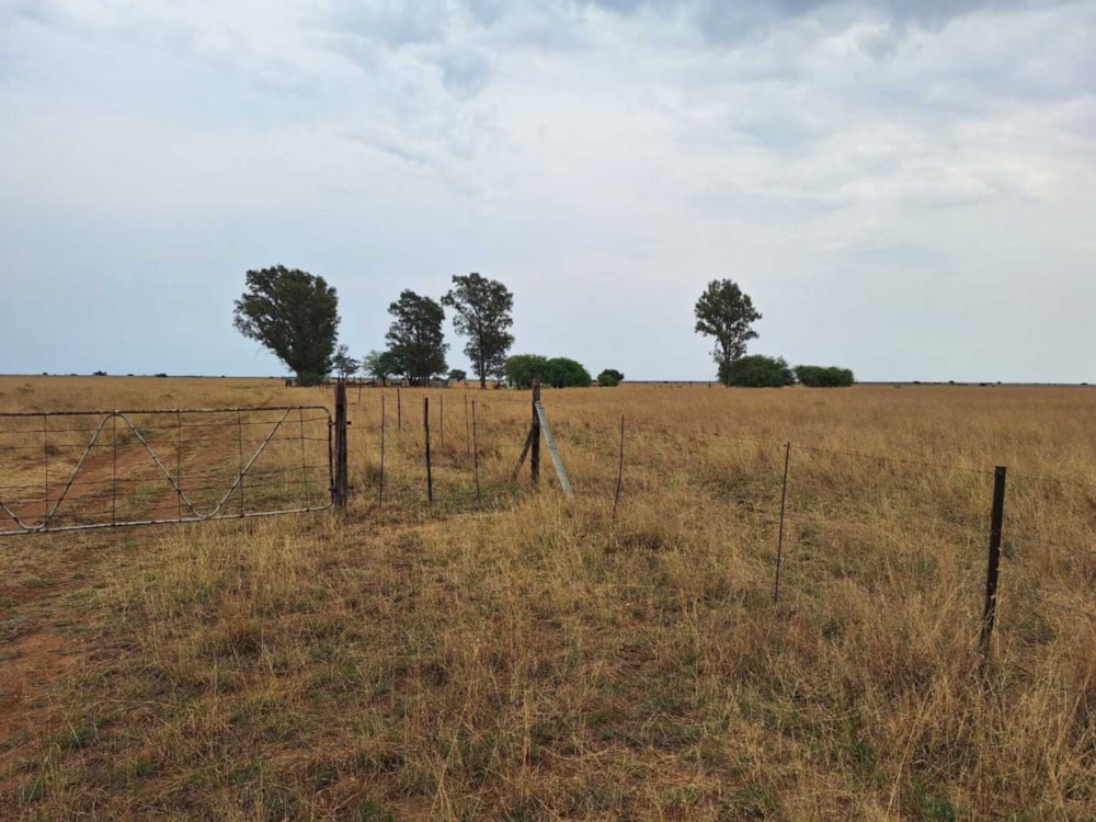 Aquaculture farm for sale in Bloemhof, North West Province - 1KJ1715996 Aquaculture farm for sale in Bloemhof, North West Province - 1KJ1715996