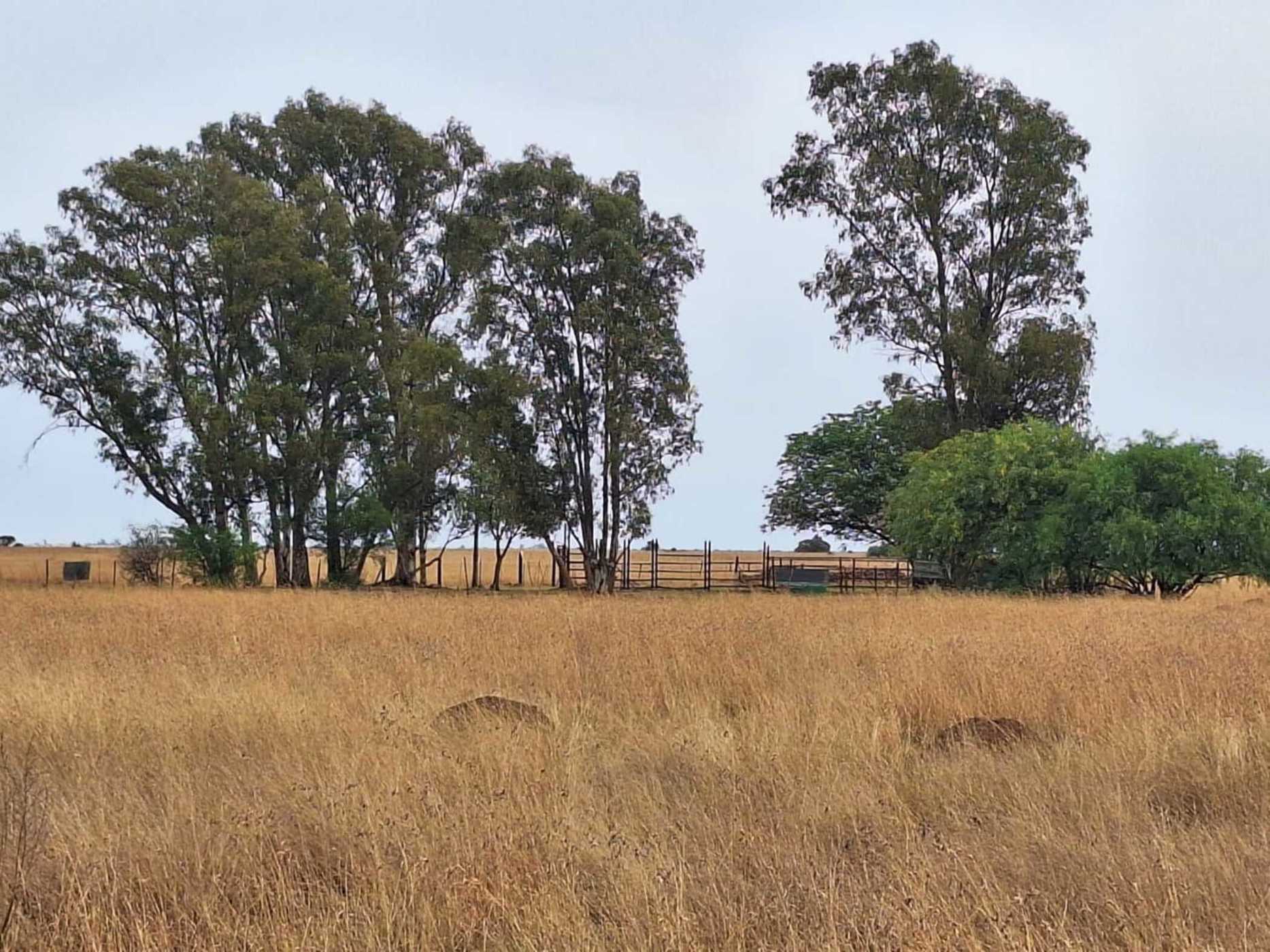 Aquaculture farm for sale in Bloemhof, North West Province - 1KJ1715996