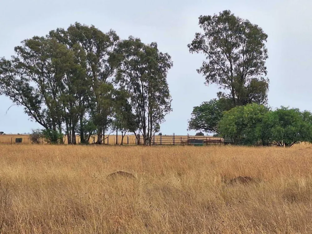 Aquaculture farm sold in Bloemhof, North West Province - 1KJ1715996