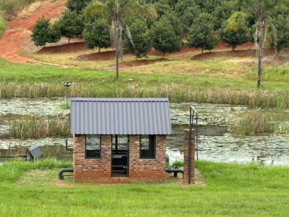 Fruit farm for sale in Tzaneen Rural - 1TA1713976 Fruit farm for sale in Tzaneen Rural - 1TA1713976