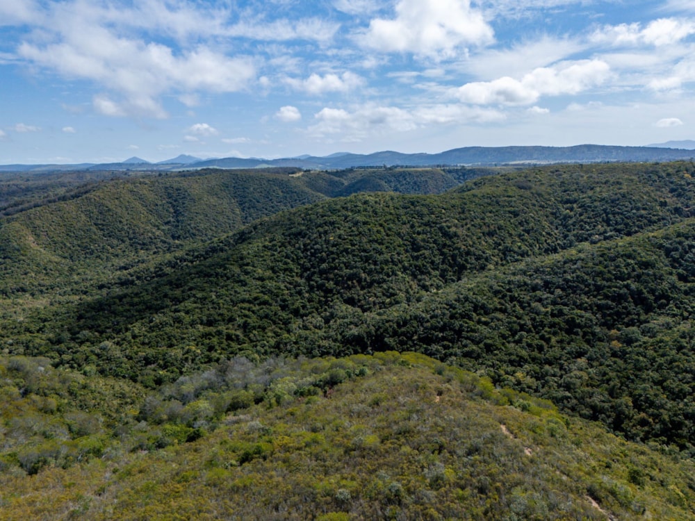 Farm vacant land for sale in Wittedrift - 1KG1712227