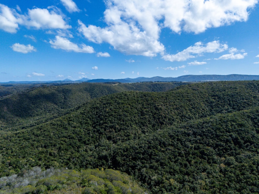 Farm vacant land for sale in Wittedrift - 1KG1712227