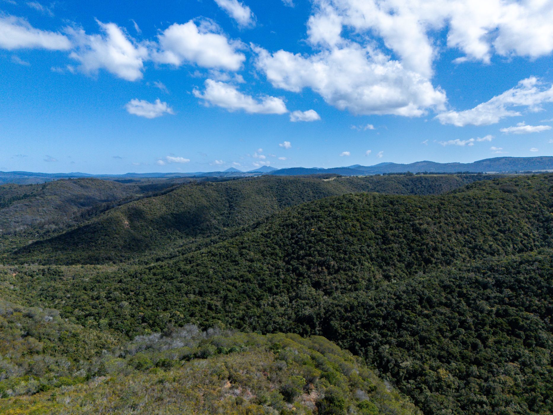 Farm vacant land for sale in Wittedrift - 1KG1712227