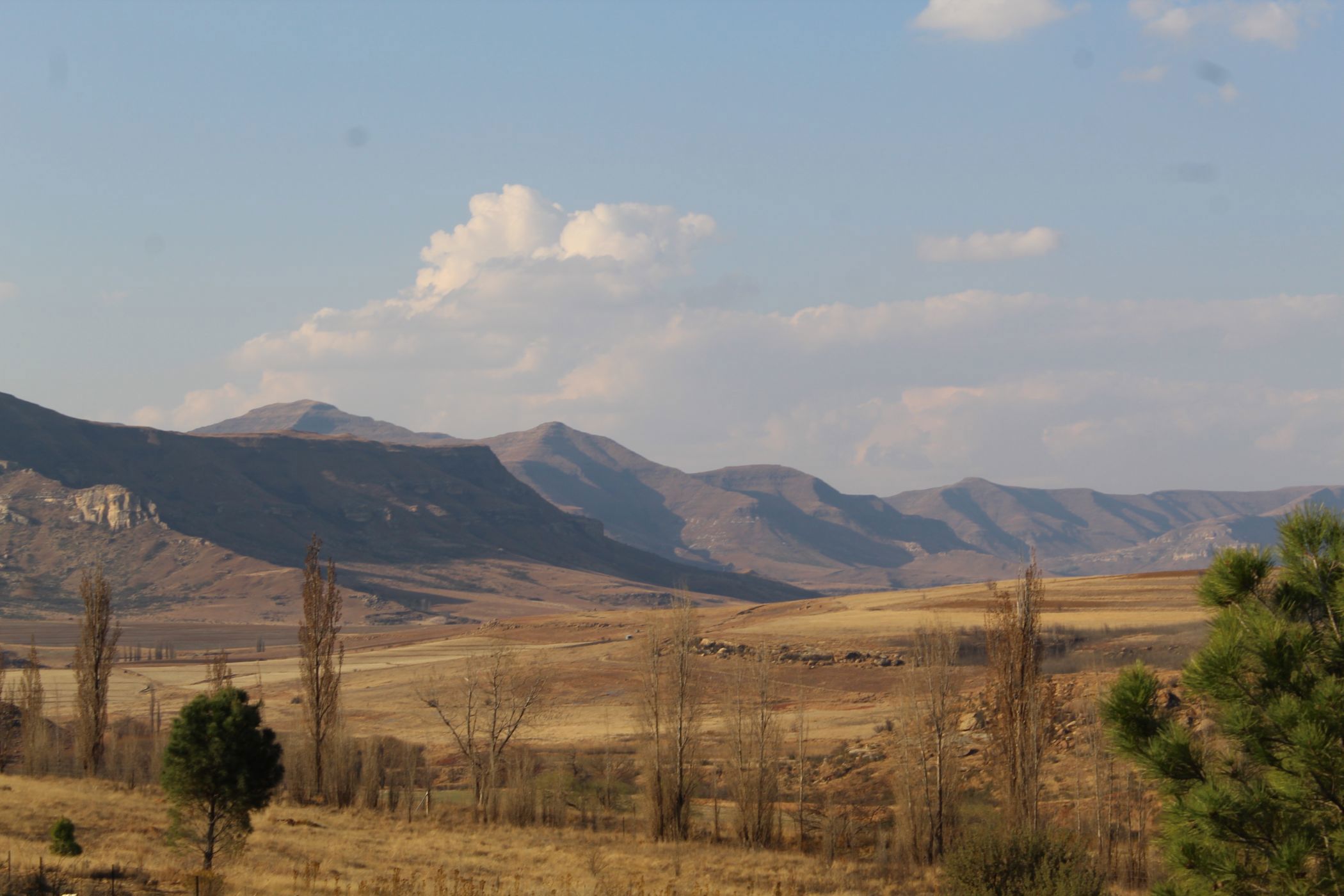 House for sale in Clarens - 1CS1750847