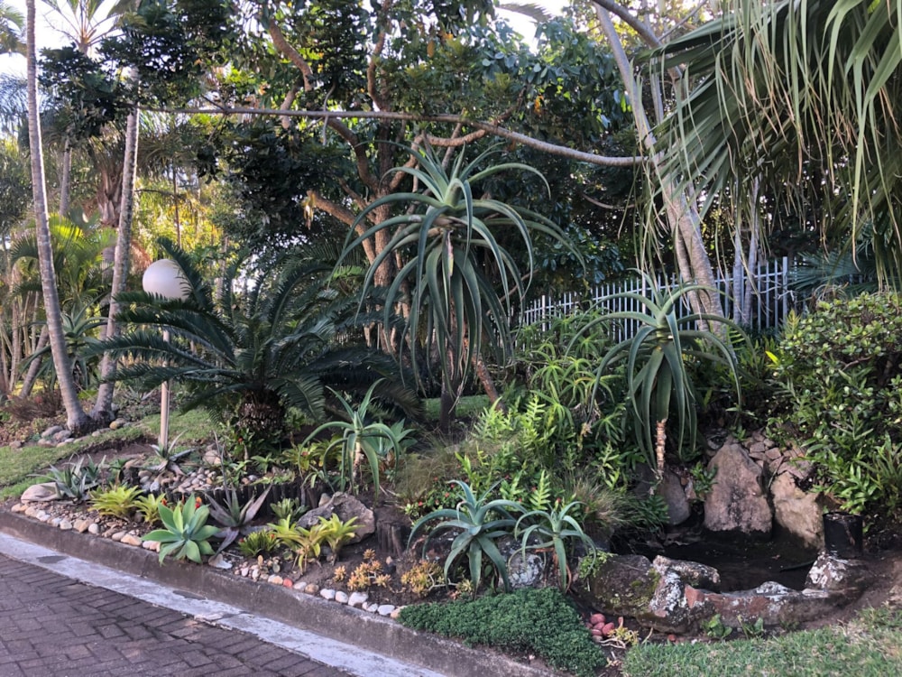 Townhouse for sale in Southbroom - 1PD1714899 Townhouse for sale in Southbroom - 1PD1714899