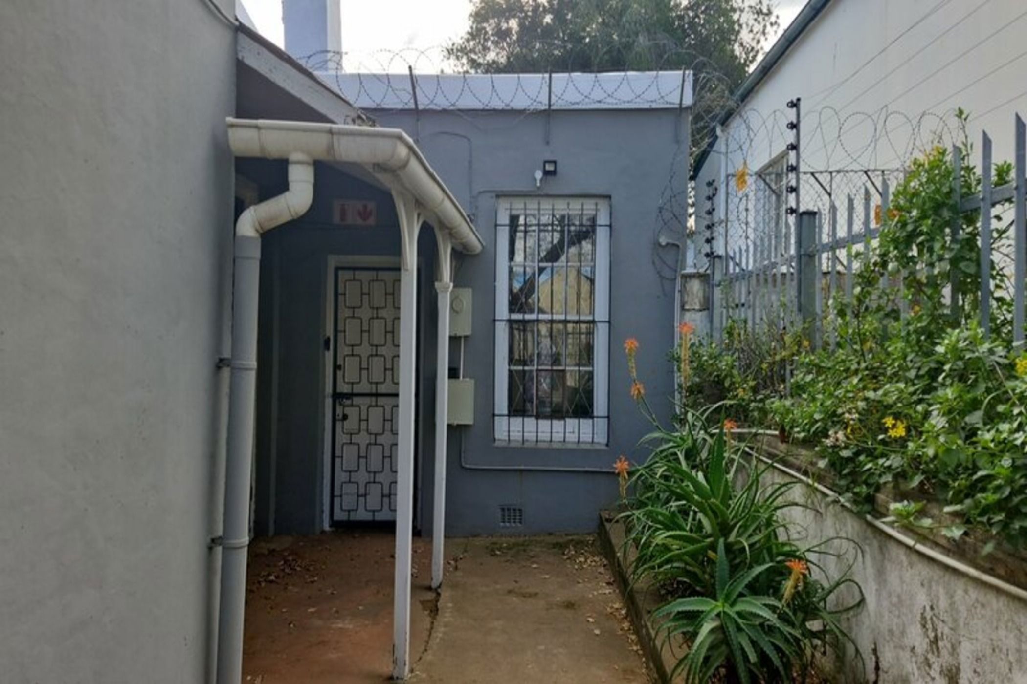 Garden apartment to rent in Grahamstown Central (Makhanda Central)  - 1GC1710509