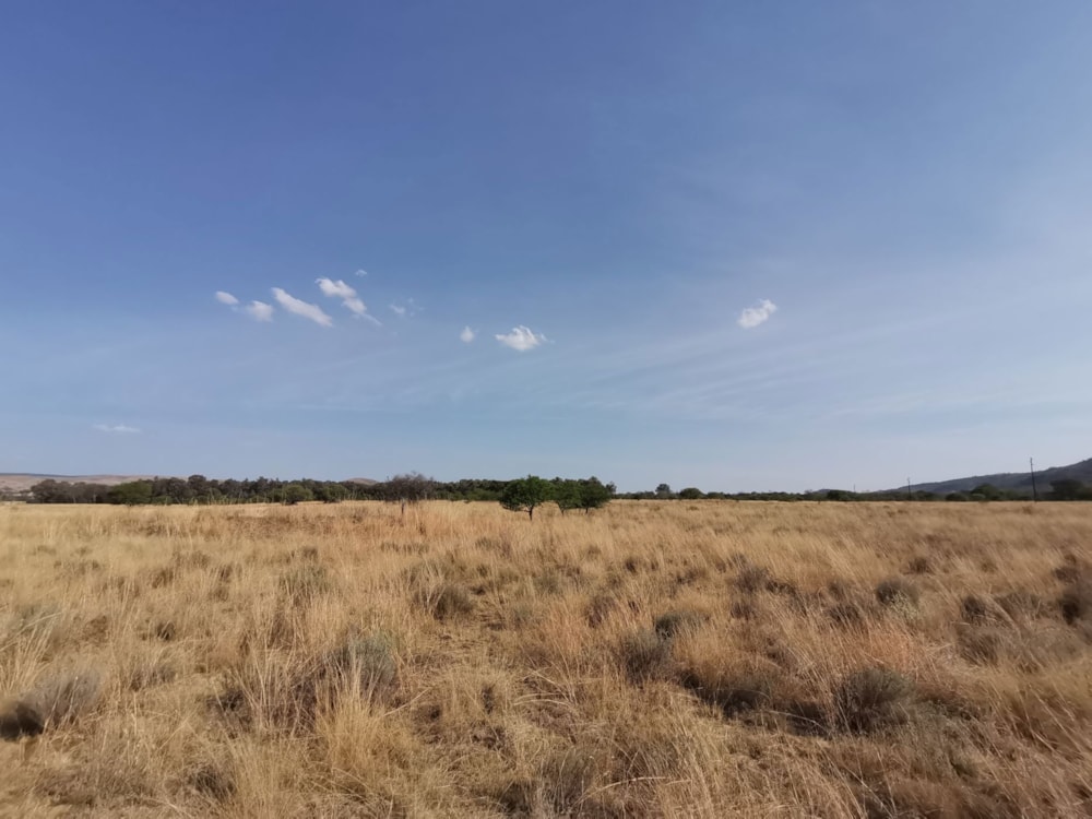 Farm vacant land for sale in Lydenburg (Mashishing) - 1LY1712506
