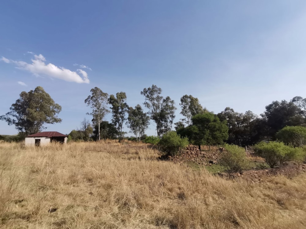Farm vacant land for sale in Lydenburg (Mashishing) - 1LY1712506