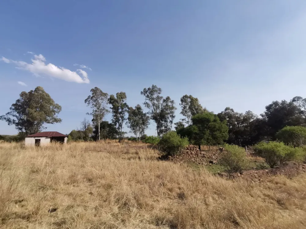 Farm vacant land sold in Lydenburg (Mashishing) - 1LY1712506 Farm vacant land sold in Lydenburg (Mashishing) - 1LY1712506