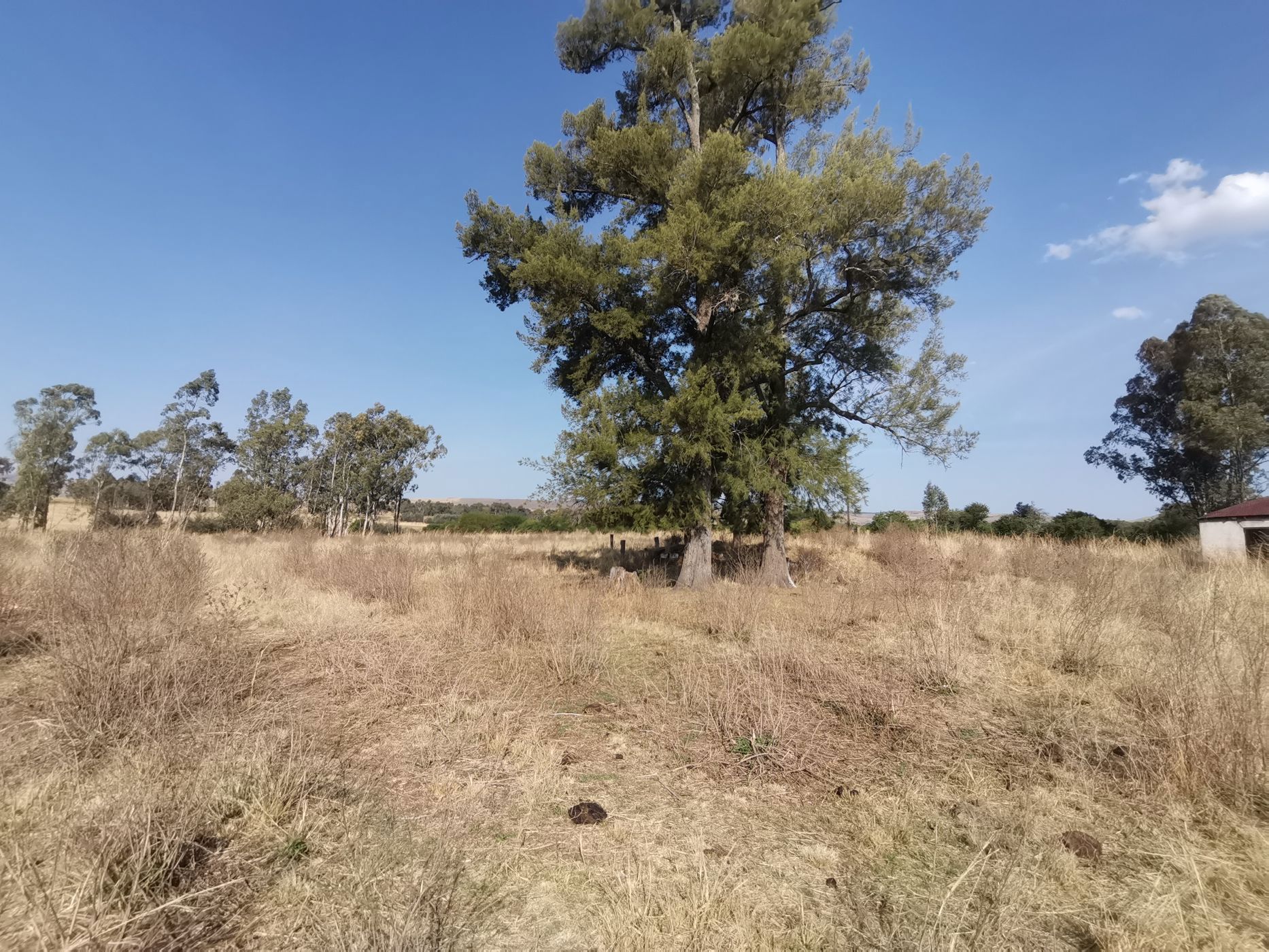 Farm vacant land for sale in Lydenburg (Mashishing) - 1LY1712506