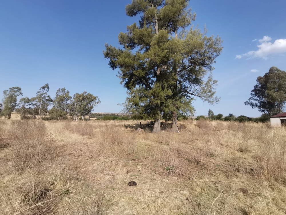 Farm vacant land for sale in Lydenburg (Mashishing) - 1LY1712506