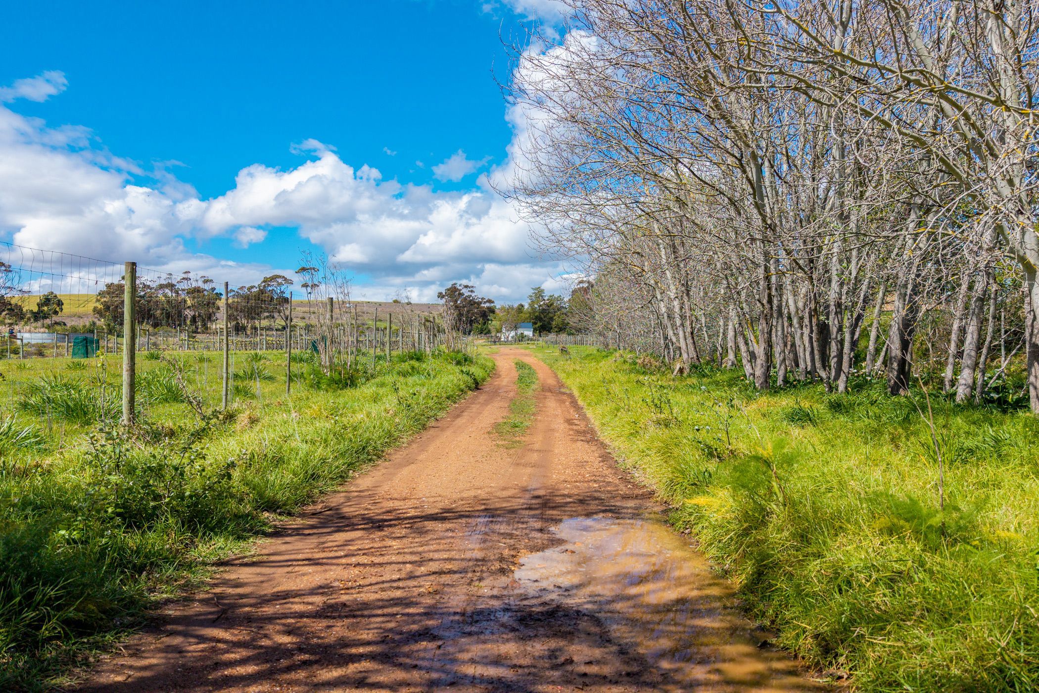 Residential vacant land for sale in Napier, Overberg - 1SW1692200