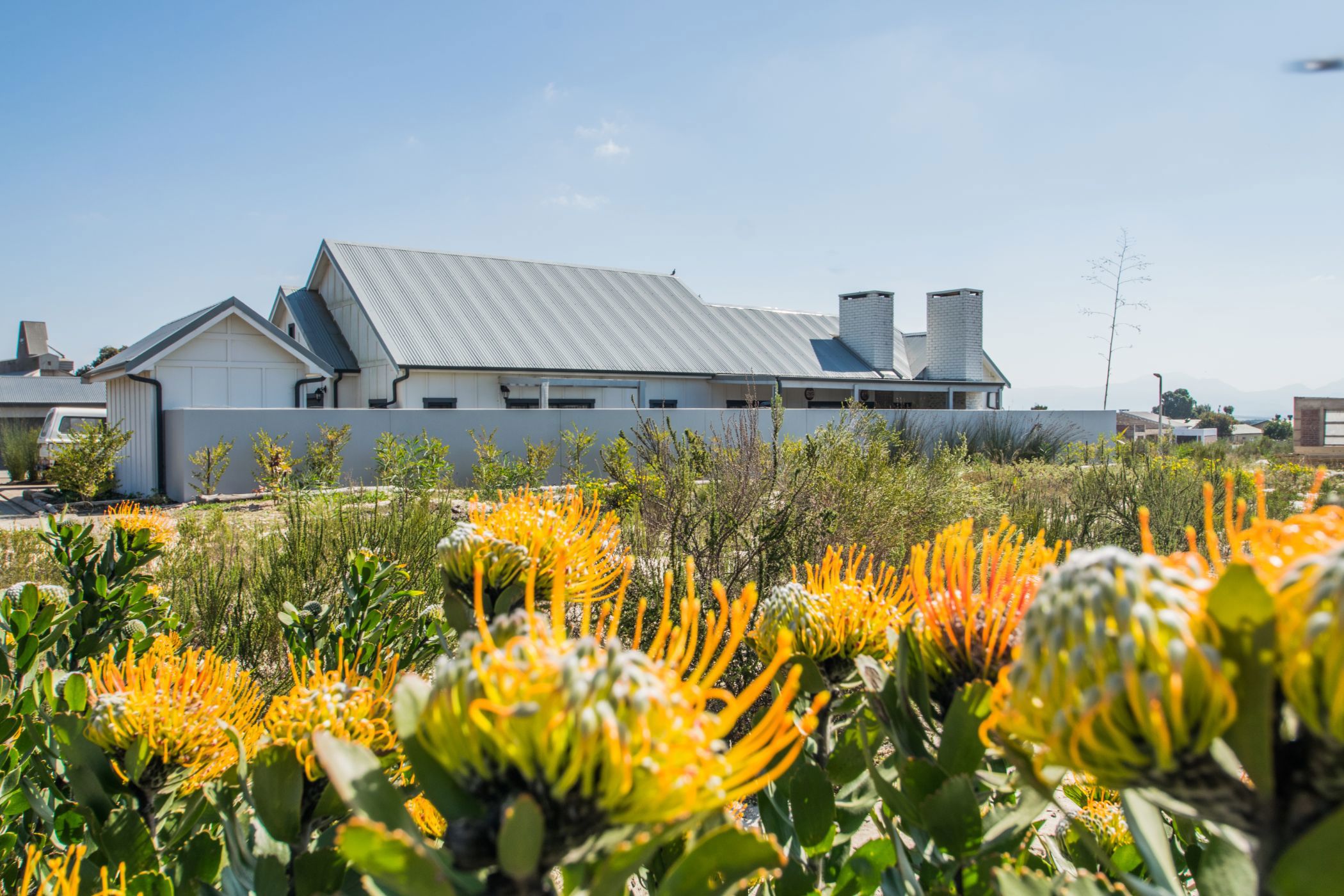 Residential vacant land for sale in Albertinia - 1SR1697574