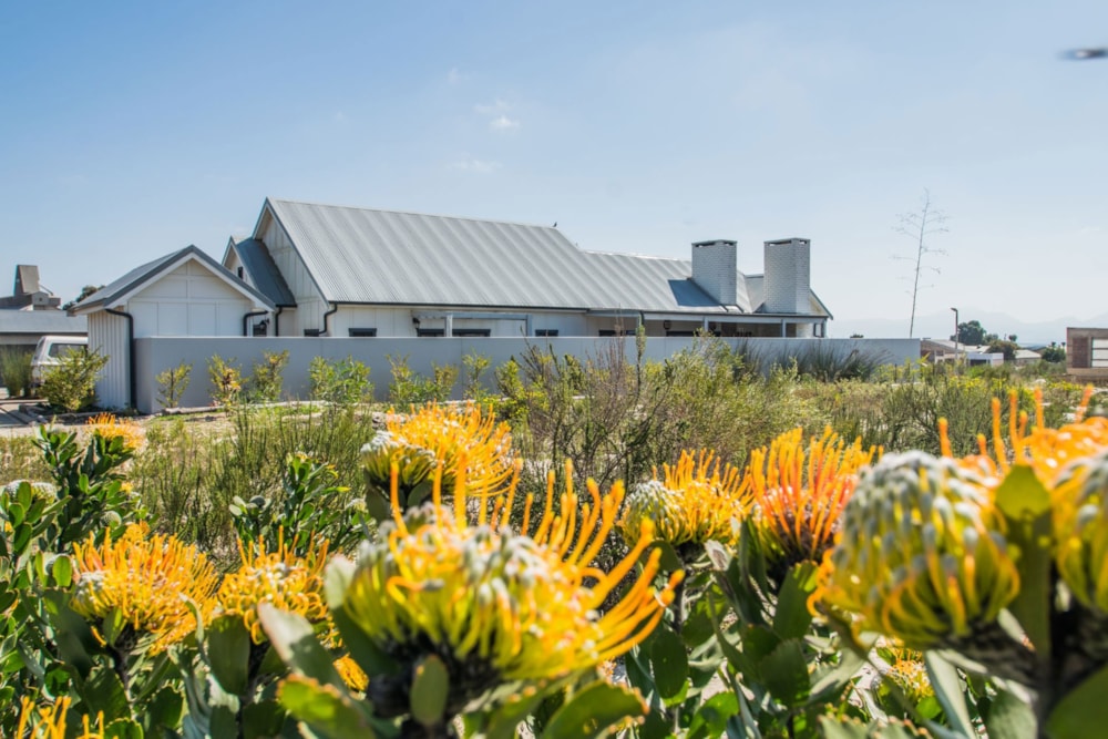 Residential vacant land for sale in Albertinia - 1SR1697574