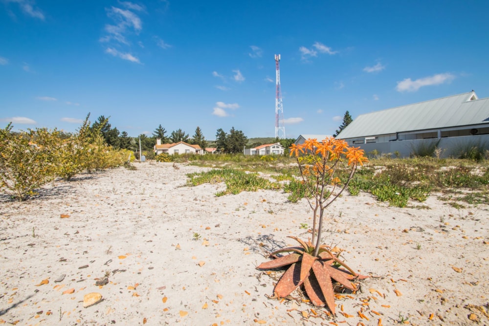 Residential vacant land for sale in Albertinia - 1SR1697574 Residential vacant land for sale in Albertinia - 1SR1697574