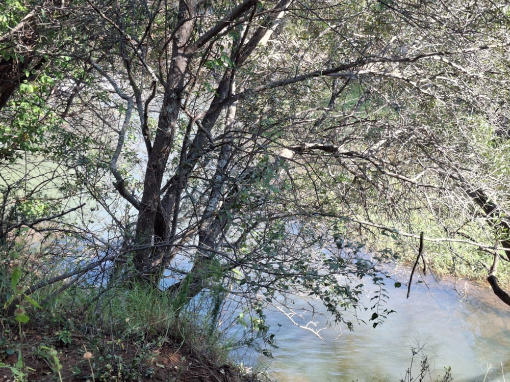 Mixed use farm for sale in Zeerust - 1RU1713387