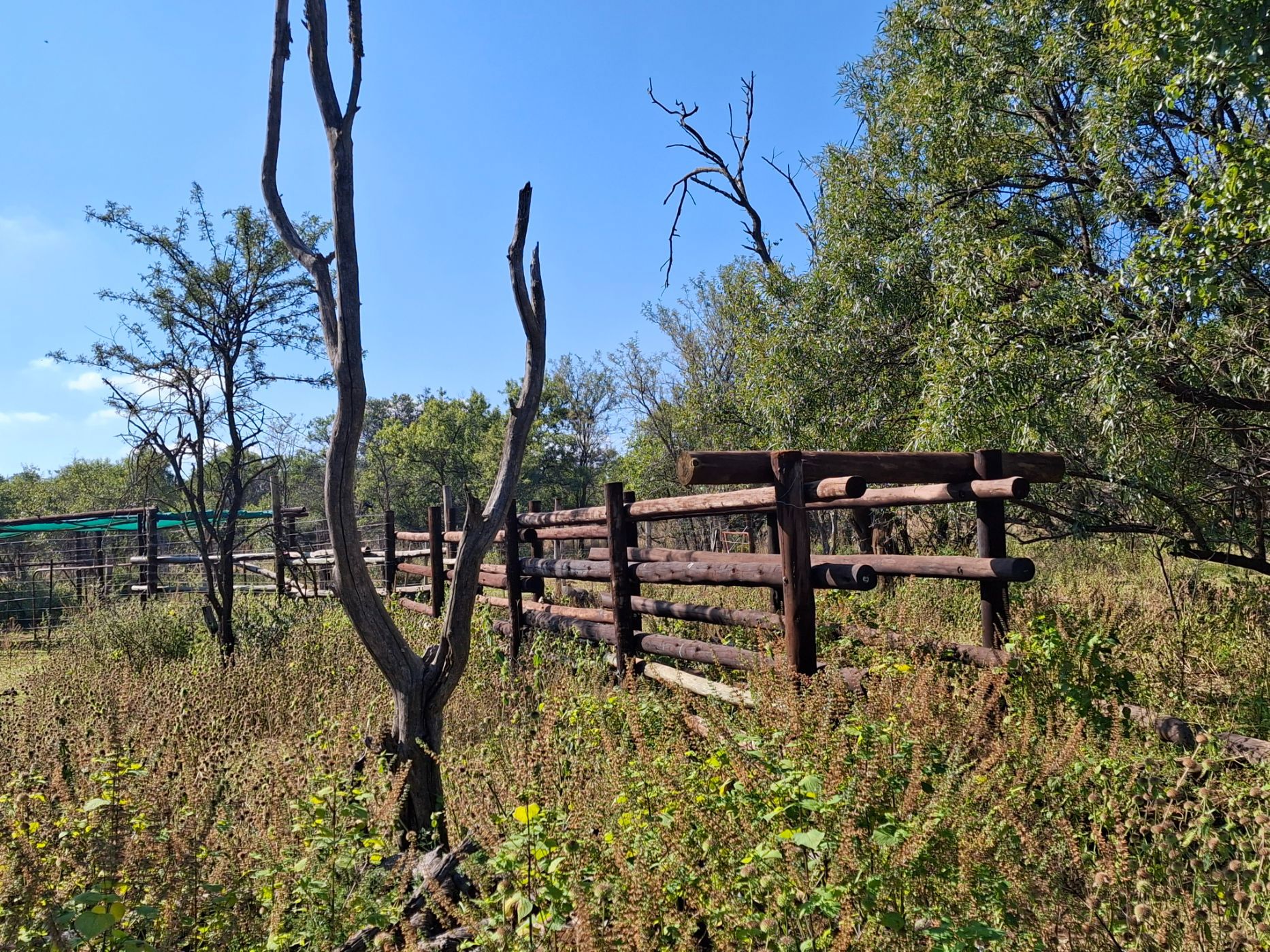 Mixed use farm for sale in Zeerust - 1RU1713387