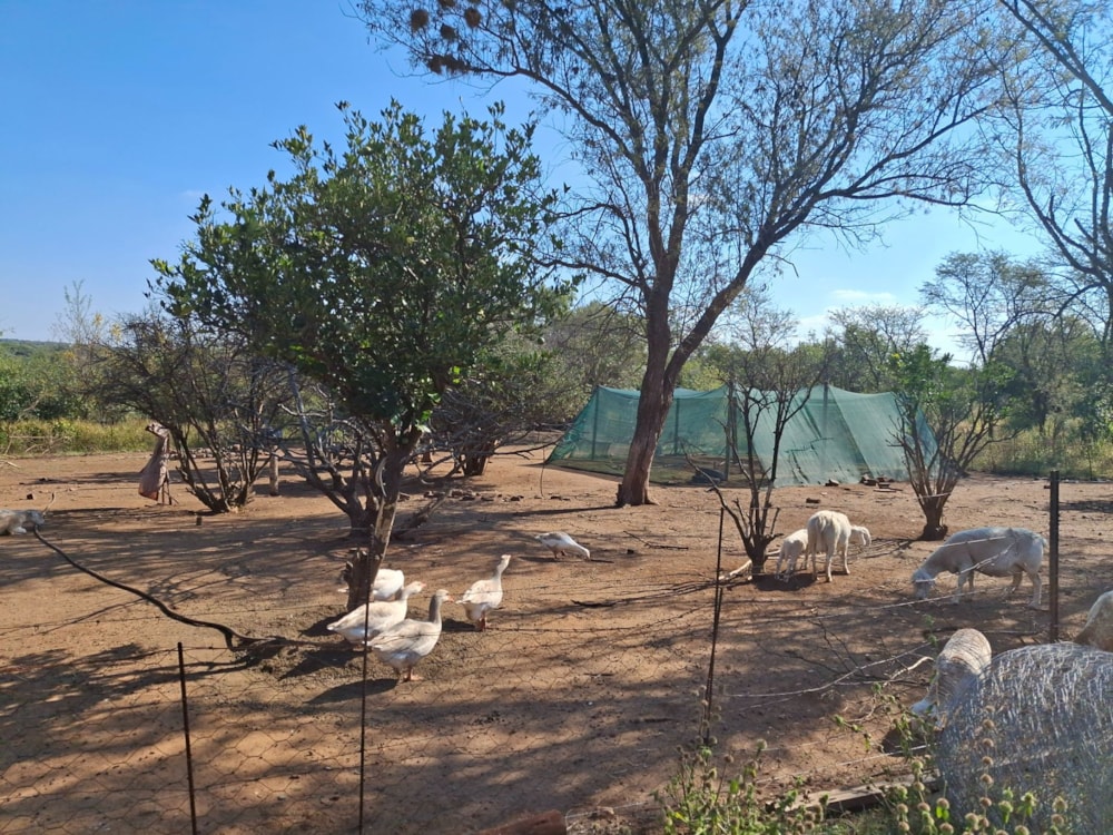 Mixed use farm for sale in Zeerust - 1RU1713387