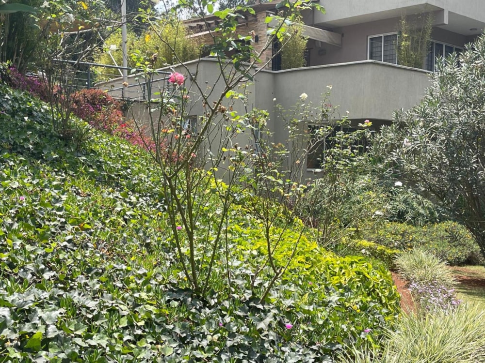 Apartment to rent in Lower Kabete, Kenya - 3KE1717704