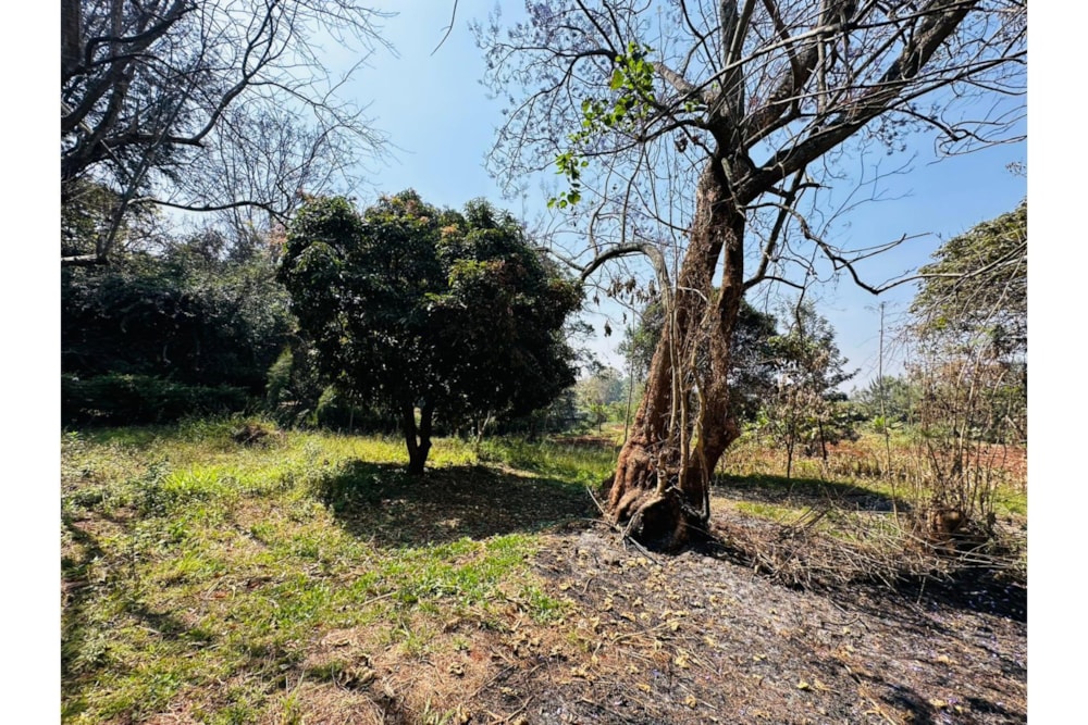 Residential vacant land for sale in Ridgeways, Kenya - 3KE1707511 Residential vacant land for sale in Ridgeways, Kenya - 3KE1707511