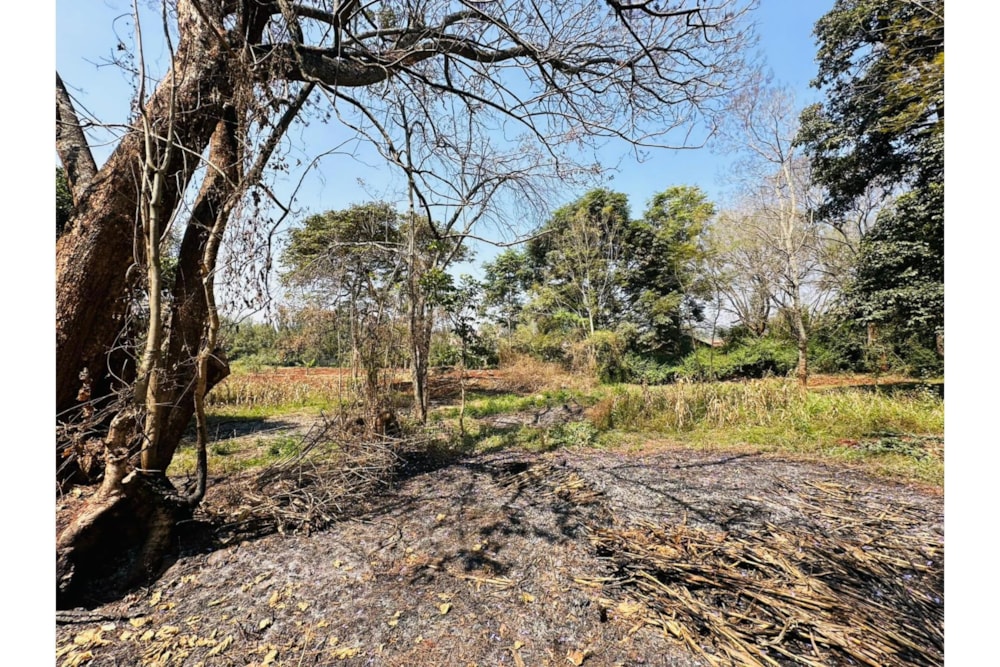 Residential vacant land for sale in Ridgeways, Kenya - 3KE1707511 Residential vacant land for sale in Ridgeways, Kenya - 3KE1707511