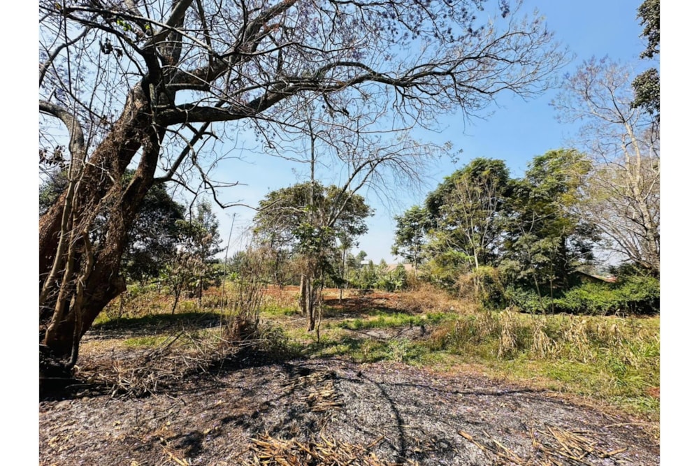 Residential vacant land for sale in Ridgeways, Kenya - 3KE1707511 Residential vacant land for sale in Ridgeways, Kenya - 3KE1707511