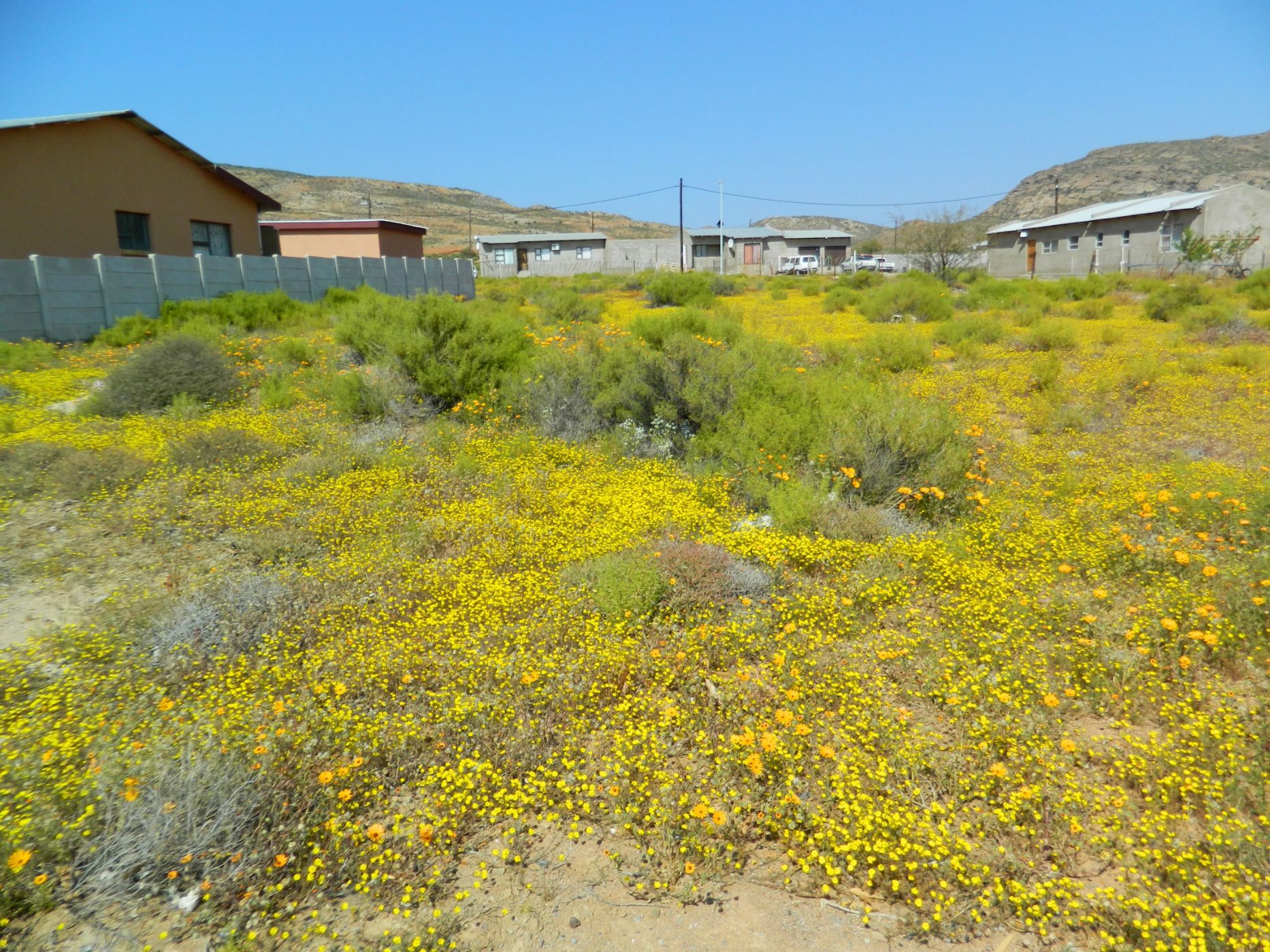 Vacant land for sale in Nababeep - 1NA1713473