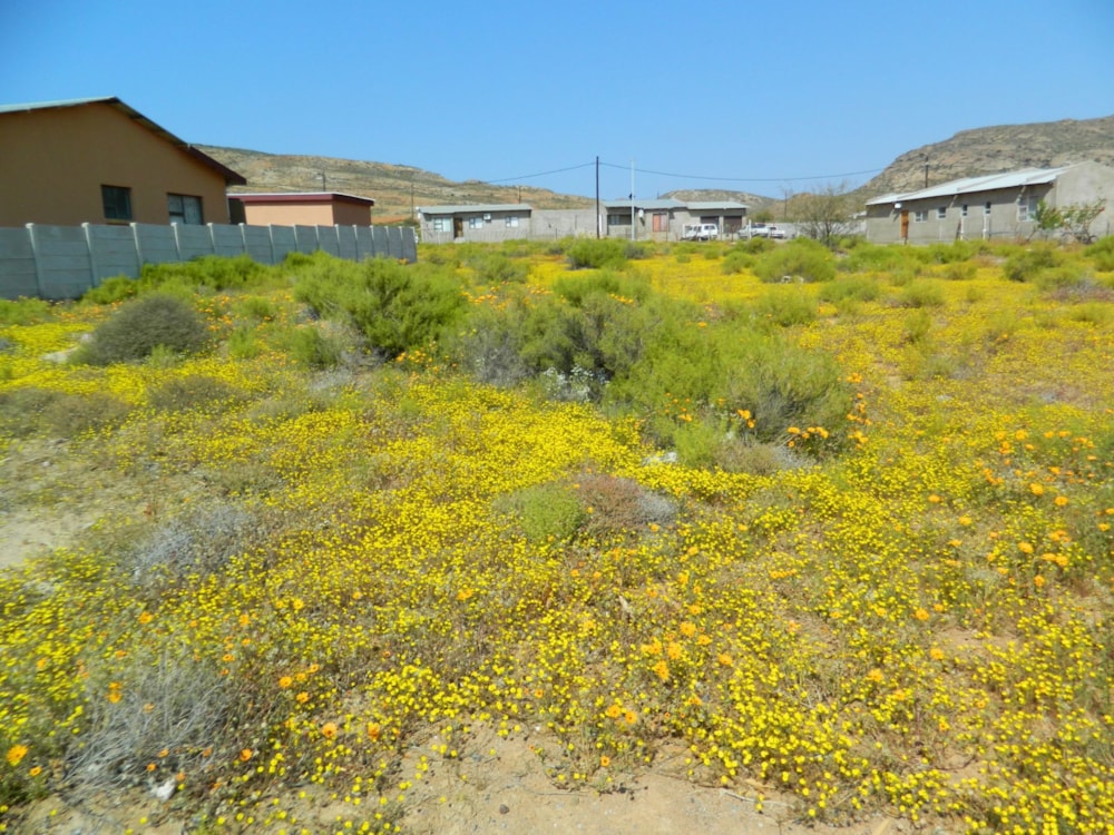 Vacant land for sale in Nababeep - 1NA1713473