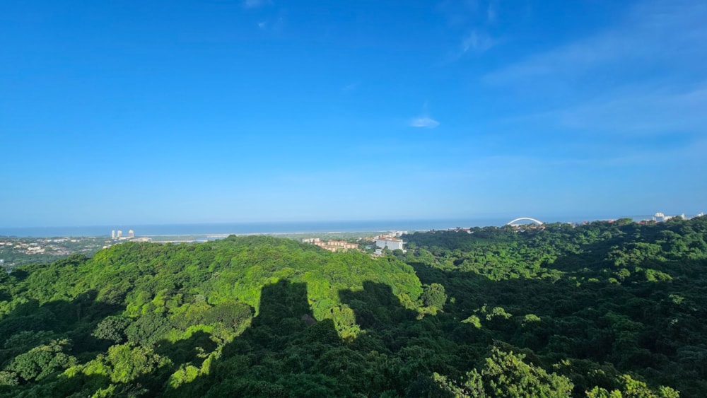 Apartment for sale in Morningside, Durban - 1DA1713217 Apartment for sale in Morningside, Durban - 1DA1713217