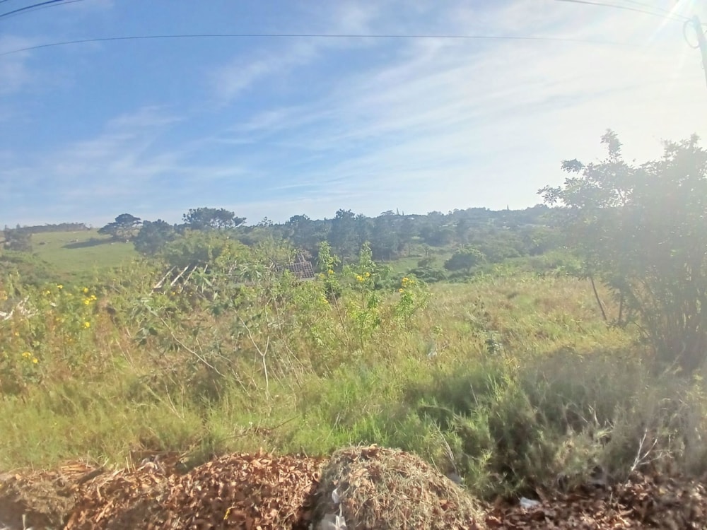 Vacant land for sale in Margate - 1PSH1709085