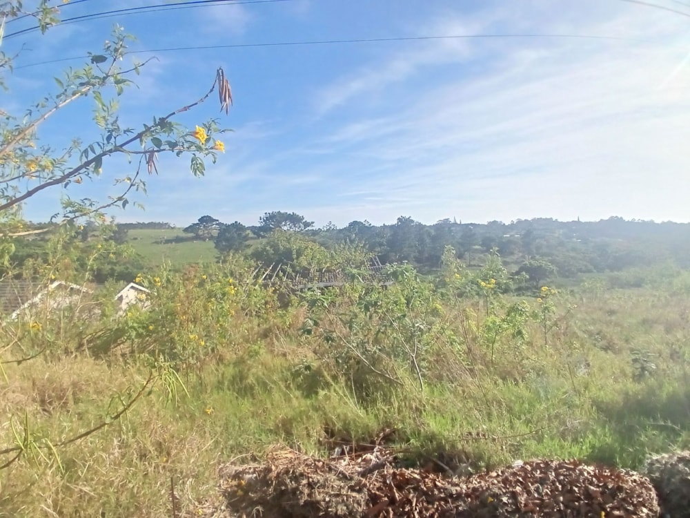 Vacant land for sale in Margate - 1PSH1709085