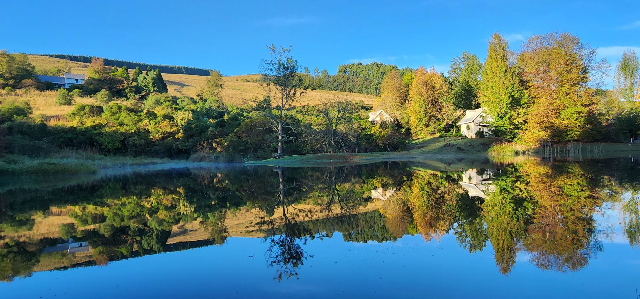 Smallholding for sale in Dargle - 1PM1716105