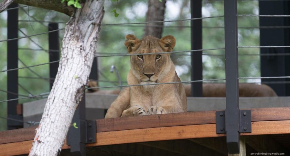 House for sale in Leadwood - 1HS1712633 House for sale in Leadwood - 1HS1712633