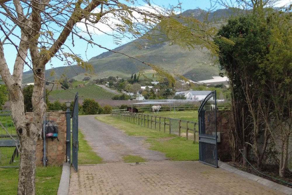 House for sale in Riebeek Kasteel - RV1712645 House for sale in Riebeek Kasteel - RV1712645