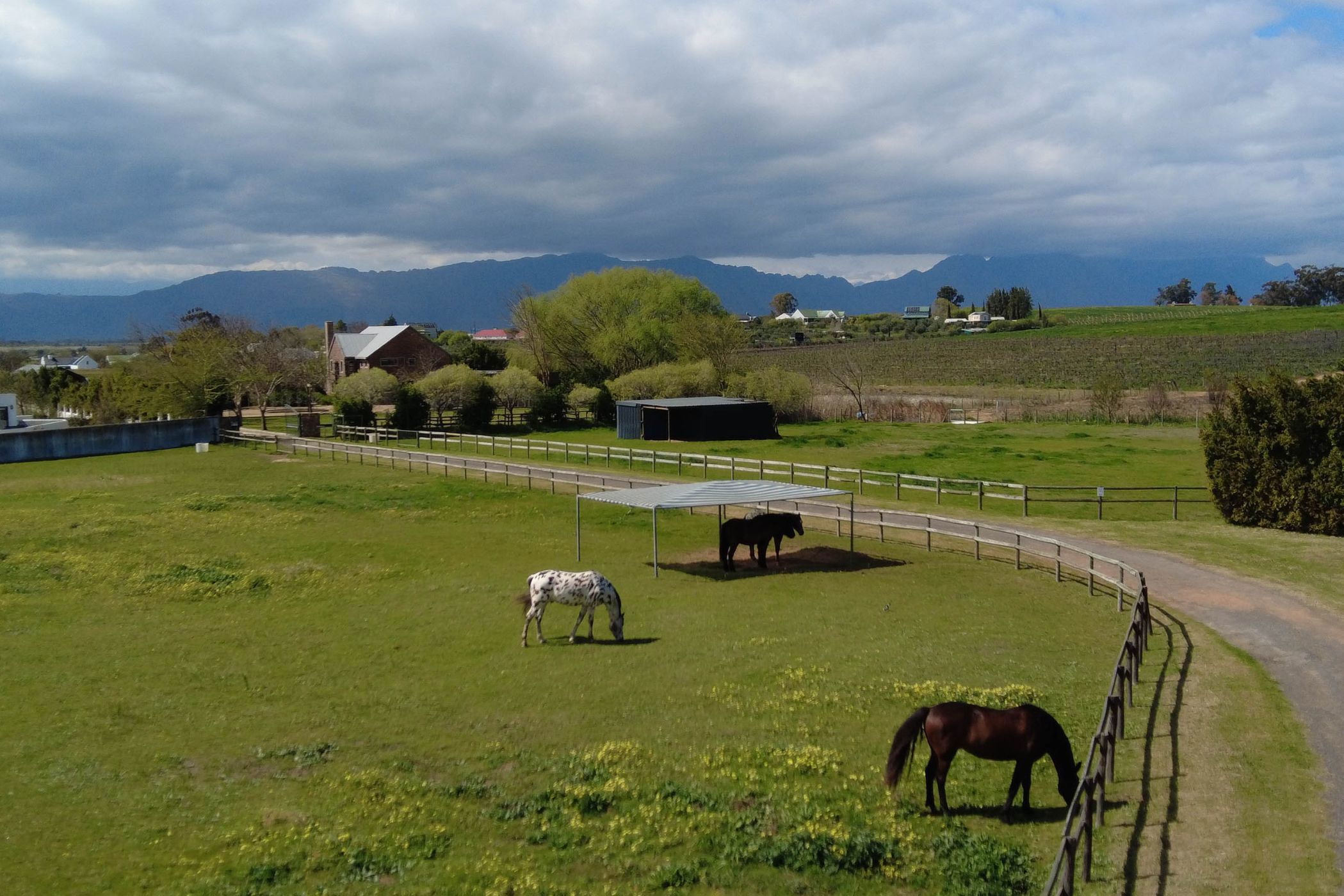 House for sale in Riebeek Kasteel - RV1712645