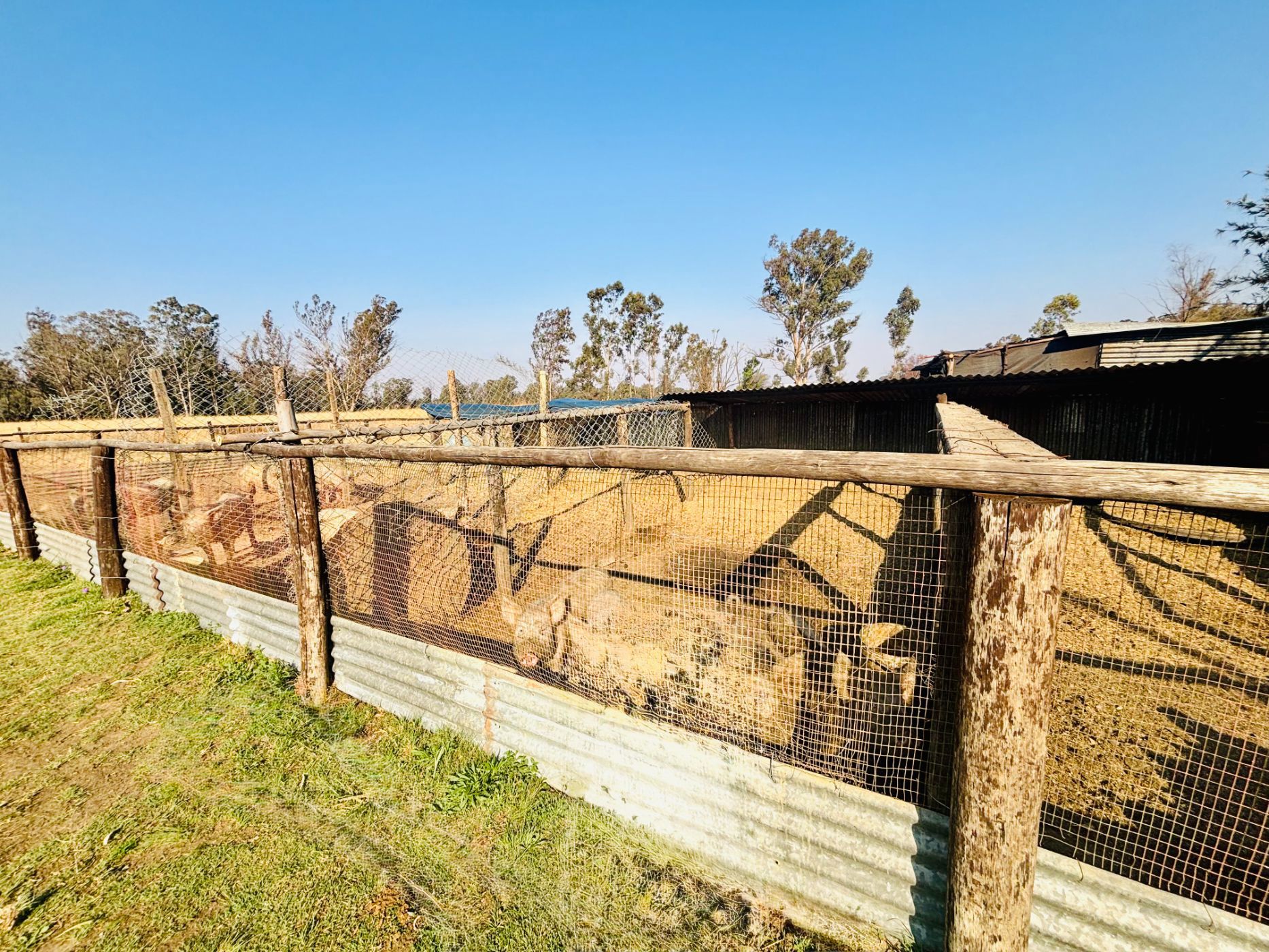 Smallholding for sale in De Deur - 1VT1712977