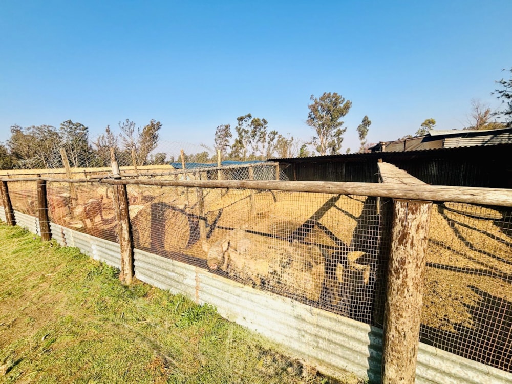 Smallholding for sale in De Deur - 1VT1712977