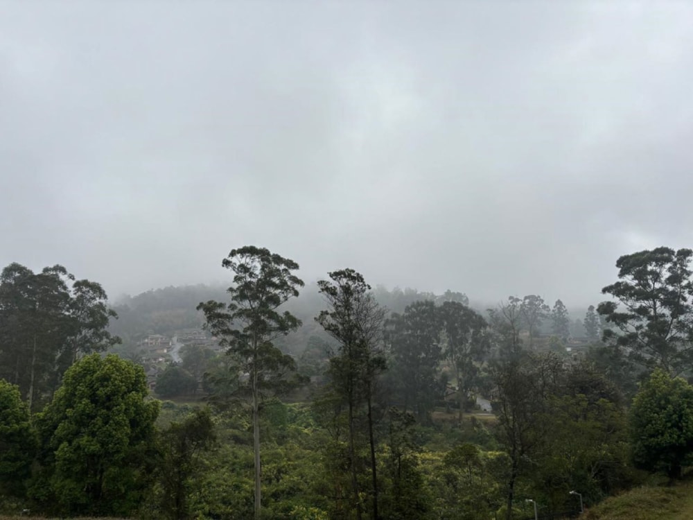 Vacant land sold in Victoria Country Club Estate - 1PM1713130 Vacant land sold in Victoria Country Club Estate - 1PM1713130