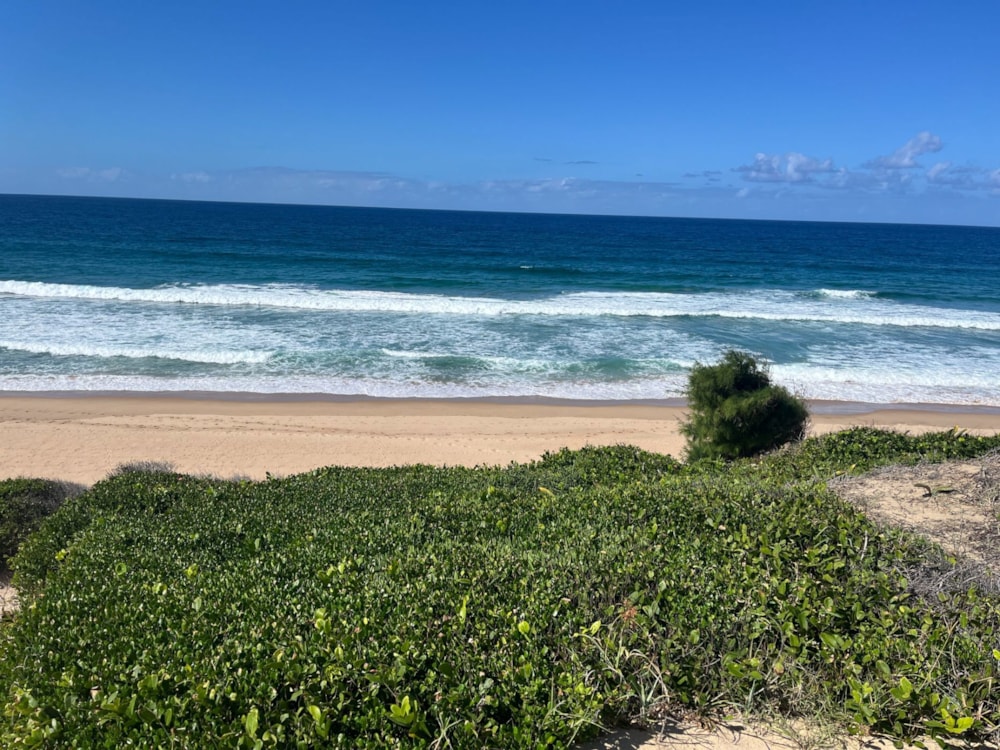 Vacant land for investment in Praia do Tofo, Mozambique - 3MQ1713314 Vacant land for investment in Praia do Tofo, Mozambique - 3MQ1713314