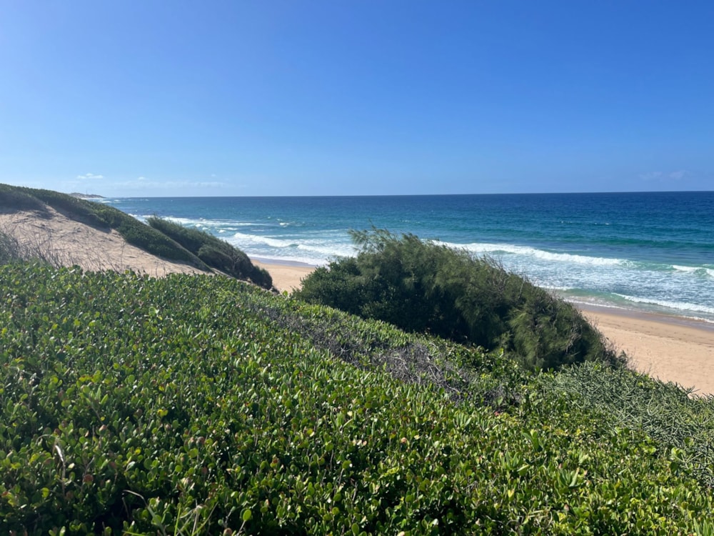 Vacant land for investment in Praia do Tofo, Mozambique - 3MQ1713314 Vacant land for investment in Praia do Tofo, Mozambique - 3MQ1713314