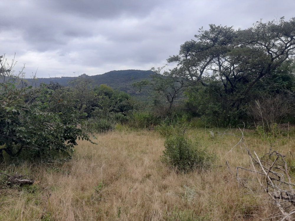 Vacant land for sale in Hilltop AH - 1NS1713372