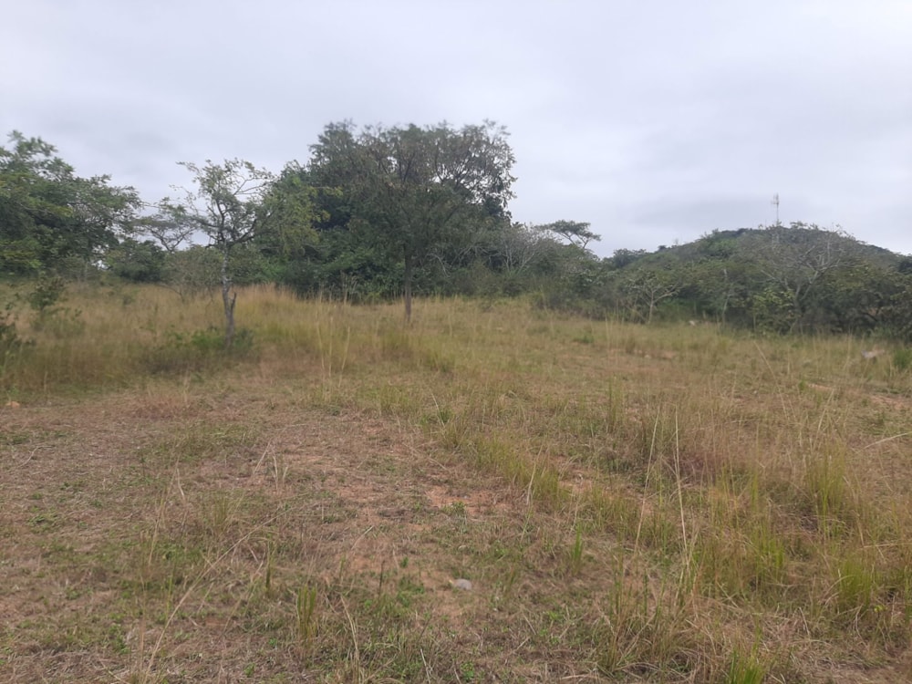 Vacant land for sale in Hilltop AH - 1NS1713372