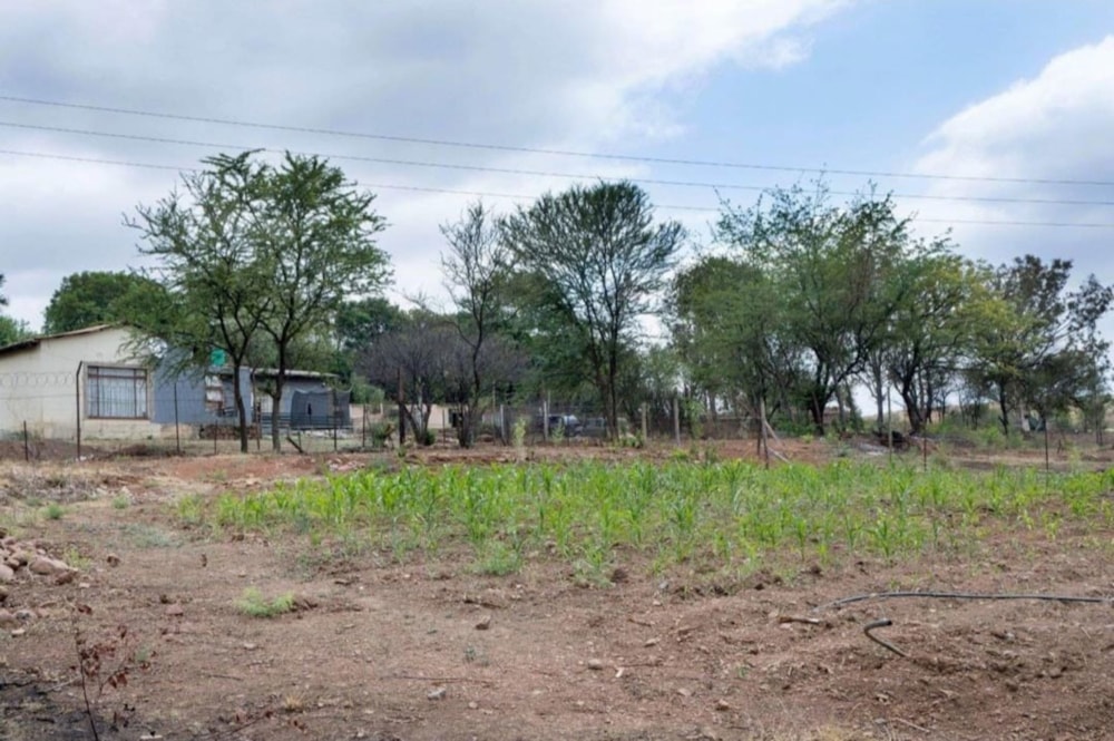 House for sale in Witbank Rural (eMalahleni Rural)  - 1WD1713591