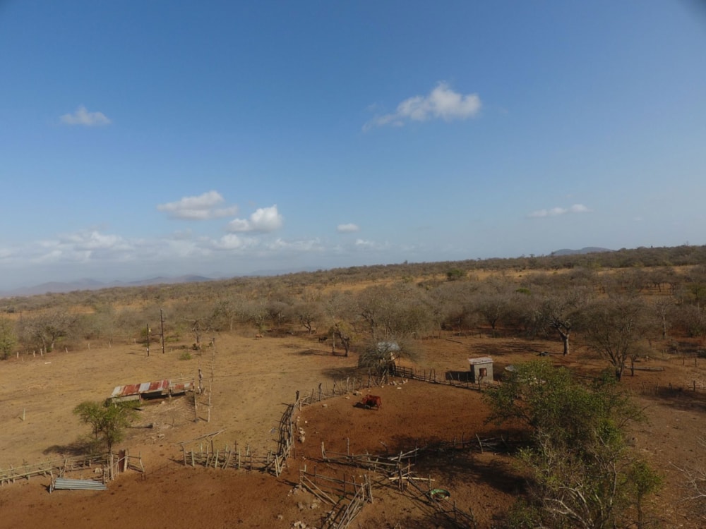Livestock farm for sale in Hectorspruit - 1NK1713713