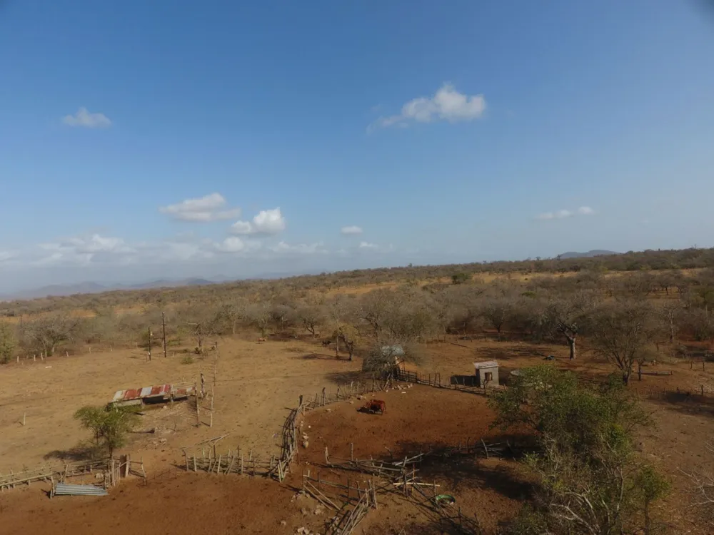 Livestock farm sold in Hectorspruit - 1NK1713713 Livestock farm sold in Hectorspruit - 1NK1713713