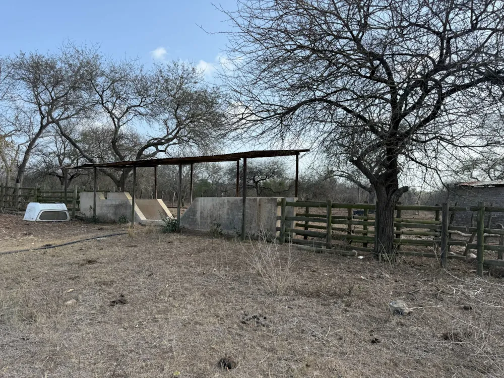 Livestock farm sold in Hectorspruit - 1NK1713713 Livestock farm sold in Hectorspruit - 1NK1713713