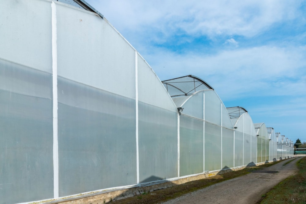 Flower farm for sale in Harkerville - 1KG1714624 Flower farm for sale in Harkerville - 1KG1714624