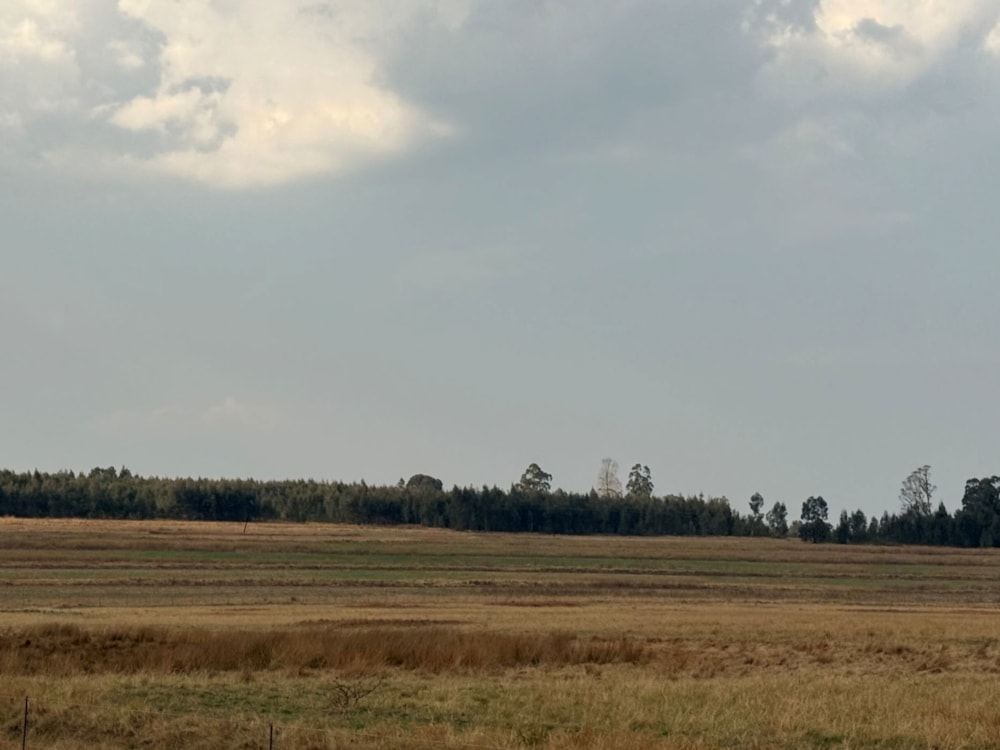 Mixed use farm for sale in Lothair - 1EM1713973