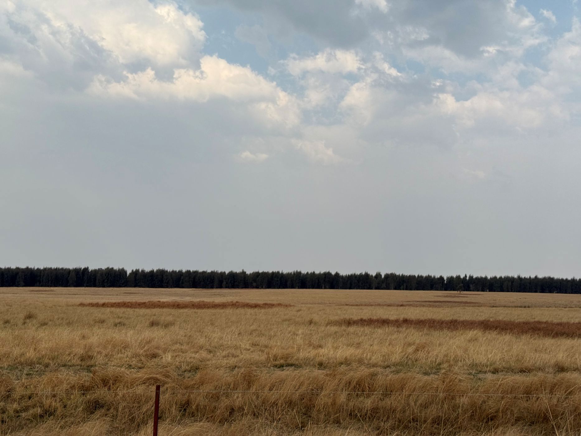 Mixed use farm for sale in Lothair - 1EM1713973